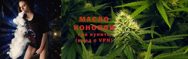 твердый Каменка