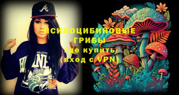 молекула духа Каменск-Шахтинский