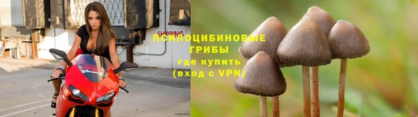 твердый Каменка