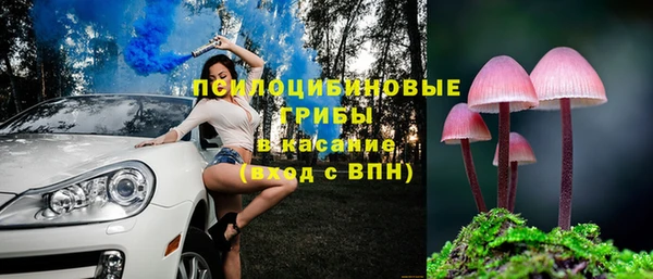 твердый Каменка