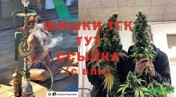 твердый Каменка