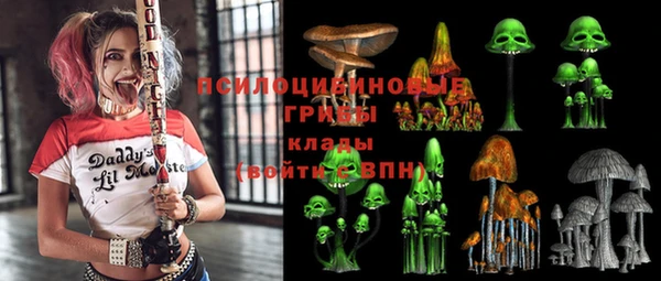 мяу мяу мука Каменногорск