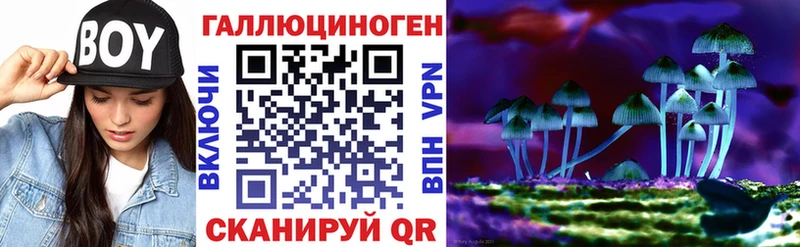 Купить  Верхняя Салда  Галлюциногенные грибы Cubensis 